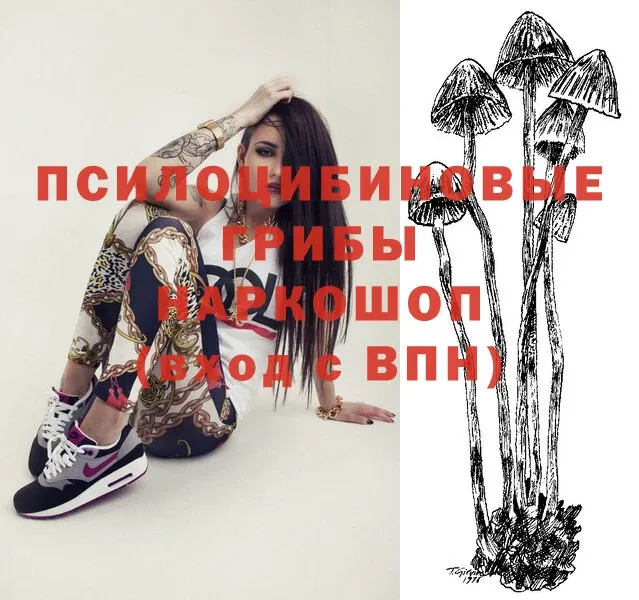 Псилоцибиновые грибы Magic Shrooms  Калининск 